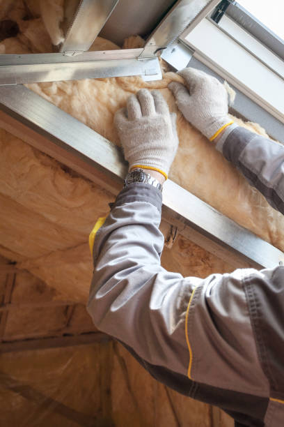 Best Blown-In Insulation  in Cahokia, IL