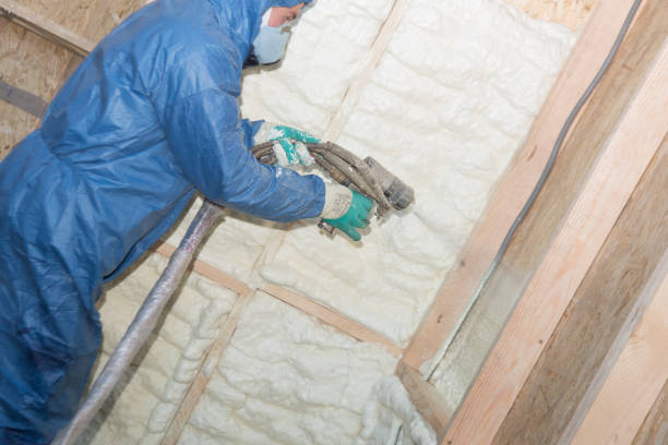 Best Garage Insulation  in Cahokia, IL